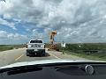 Manitoba014