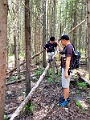 TrollFalls080