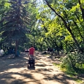 Drumheller002