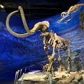 Drumheller119