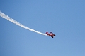 WingsOverSpringbank002
