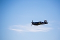 WingsOverSpringbank018