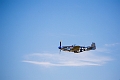 WingsOverSpringbank019