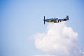 WingsOverSpringbank020