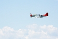 WingsOverSpringbank023