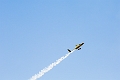 WingsOverSpringbank030