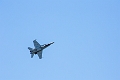 WingsOverSpringbank037