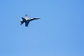 WingsOverSpringbank038