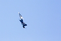 WingsOverSpringbank041