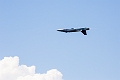 WingsOverSpringbank042