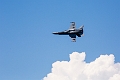 WingsOverSpringbank043