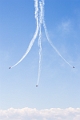 WingsOverSpringbank070