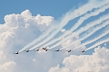 WingsOverSpringbank096