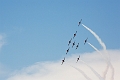 WingsOverSpringbank118