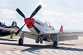 WingsOverSpringbank125