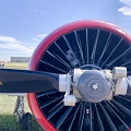 WingsOverSpringbank138