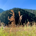 RadiumHotSprings122