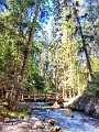 RadiumHotSprings151