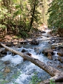 RadiumHotSprings156