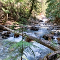 RadiumHotSprings157