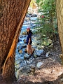 RadiumHotSprings160