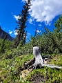 RadiumHotSprings205