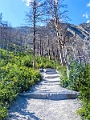 Waterton063