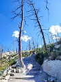 Waterton070