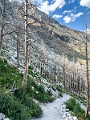 Waterton098