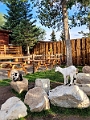 Waterton111