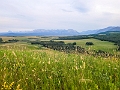 Waterton118