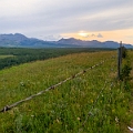 Waterton124