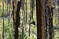 Waterton127