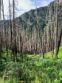 Waterton130