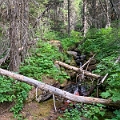 Waterton132