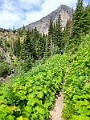 Waterton144