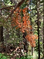 Waterton175