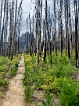 Waterton178