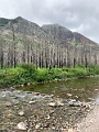 Waterton197