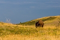 Waterton203