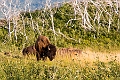 Waterton206