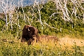 Waterton207