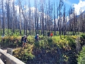 Waterton259