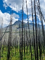 Waterton262