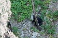 Waterton263