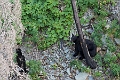 Waterton264