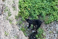 Waterton265