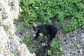 Waterton266
