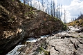 Waterton274