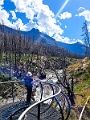 Waterton275
